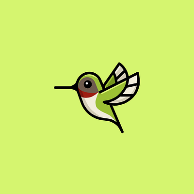 Hummingbird 100daychallenge 100days desinger illustration illustration design illustration digital vector