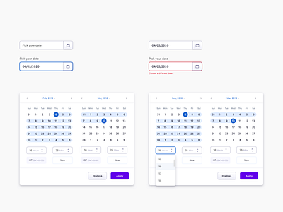 Date Picker System date picker datepicker datepickersystem design design system error state form fields modal window sketch ui ux