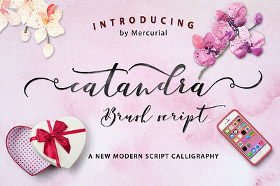 Catandra - Free Brush Script Font font fonts free download free font free fonts freebies freefont type typeface typography