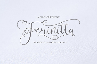 Ferinitta Free Calligraphy Font font free font free fonts freebie freebies typeface typefaces typogaphy typography