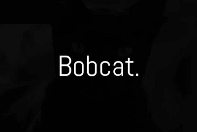 The Bobcat Free Sans Serif typeface font font awesome font design font family fonts free font free fonts freebie freebies typography