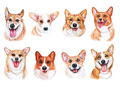 Watercolor illustration set dogs Corgi animal corgi dog draw drawing illustration pet pets puppy watercolor watercolor art
