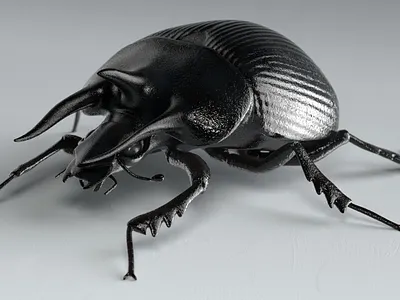 Typhaeus typhoeus 3d ar beetle bug c4d cinema4d game insect insects redshift3d unity3d