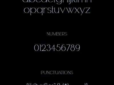 Zoela - Elegant Serif Font alternates elegant font ligatures luxury magazine serif stylish typography zoela