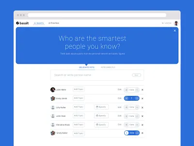 Basalt Web App design expert hierarchy liquid democracy priority search ui ux visual design vote voter voting web web design webapp