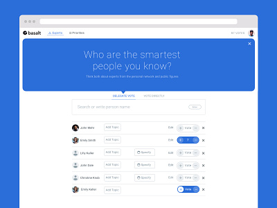 Basalt Web App design expert hierarchy liquid democracy priority search ui ux visual design vote voter voting web web design webapp