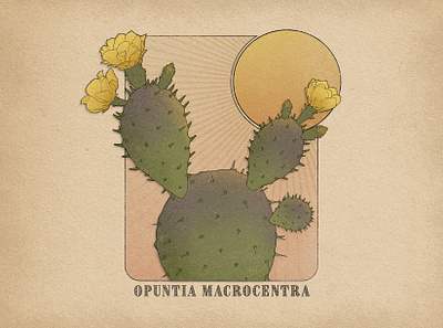 Prickly Pear illustration photoshop texture truegrit vintage