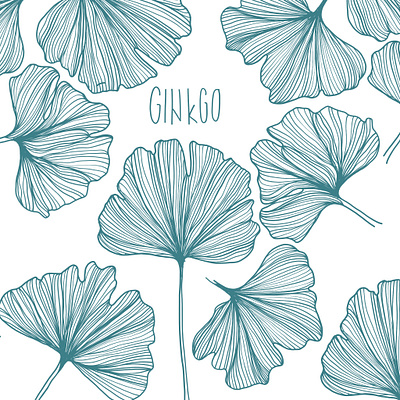 ginkgo digital drawing ginkgo illustration illustration digital ipadpro kiasue nature plant plant illustration procreate