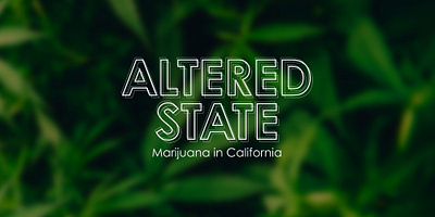 Altered State Museum Exhibition Logo exhibition logo museum design