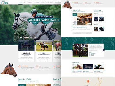 SeamusMullins - Wilsford Racing Stables branding creative design graphic design horse horse racing horses illustration logo racing stables ui ui ux ux web design