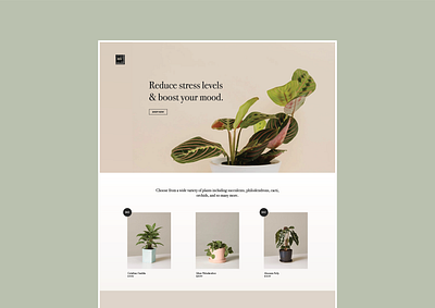 Landing Page Design clean conceptdesign design figma landingpage minimal plants ui webdesign