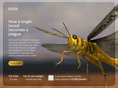 Gregarious mini beasts dailyui design webdesign