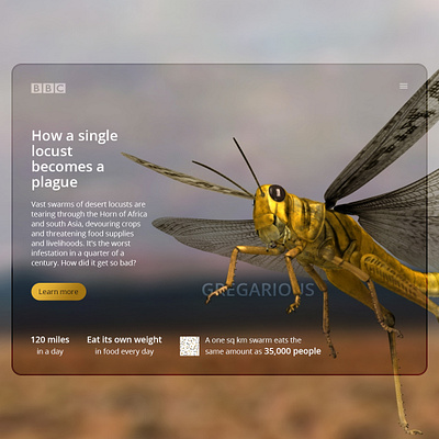 Gregarious mini beasts dailyui design webdesign