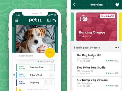 Pet-1-1 app branding design mobile mobile app ui ux