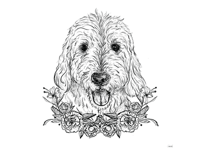 Labra*doodle,* get it? adobe fresco character dog drawing drawings fun illustraor illustration labrador line drawing puppy sketch sketching