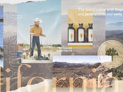 Joshua Tree / Type Study art direction creative agency creative direction design design direction design studio los angeles typography visual design