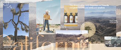 Joshua Tree / Type Study art direction creative agency creative direction design design direction design studio los angeles typography visual design