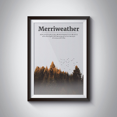 Conference Room Poster - Merriweather work