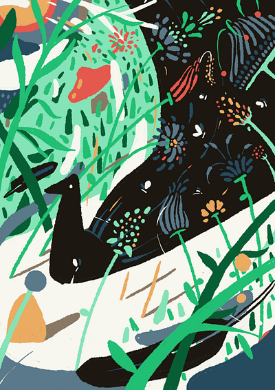 birds bird birds colorful expressionism illustration procreate