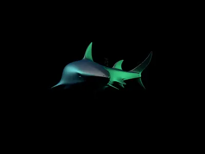 Shark 3d cinema4dart dark green modeling render shark water