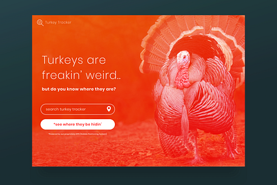 turkey tracker dark design form form design form field location tracker search turkey ui website concept website design