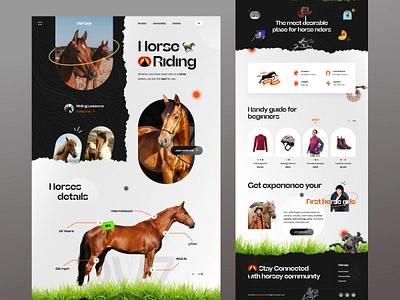 Horse Riding Club Website Design animal community domestic dressage equestrian equine hobby homepage horse firm horse riding landing page pet pony rider riding sports uiux web design website website design