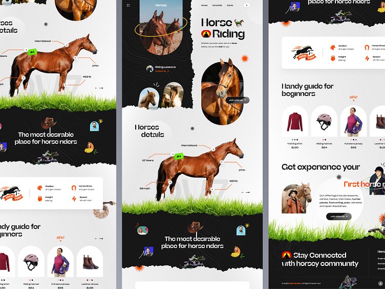 Horse Riding Club Website Design by Farzan Faruk for Rylic Studio on ...