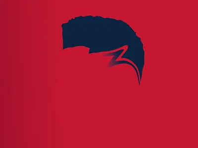 Z is for Zion basketball design illustration pelicans sports vector williamson