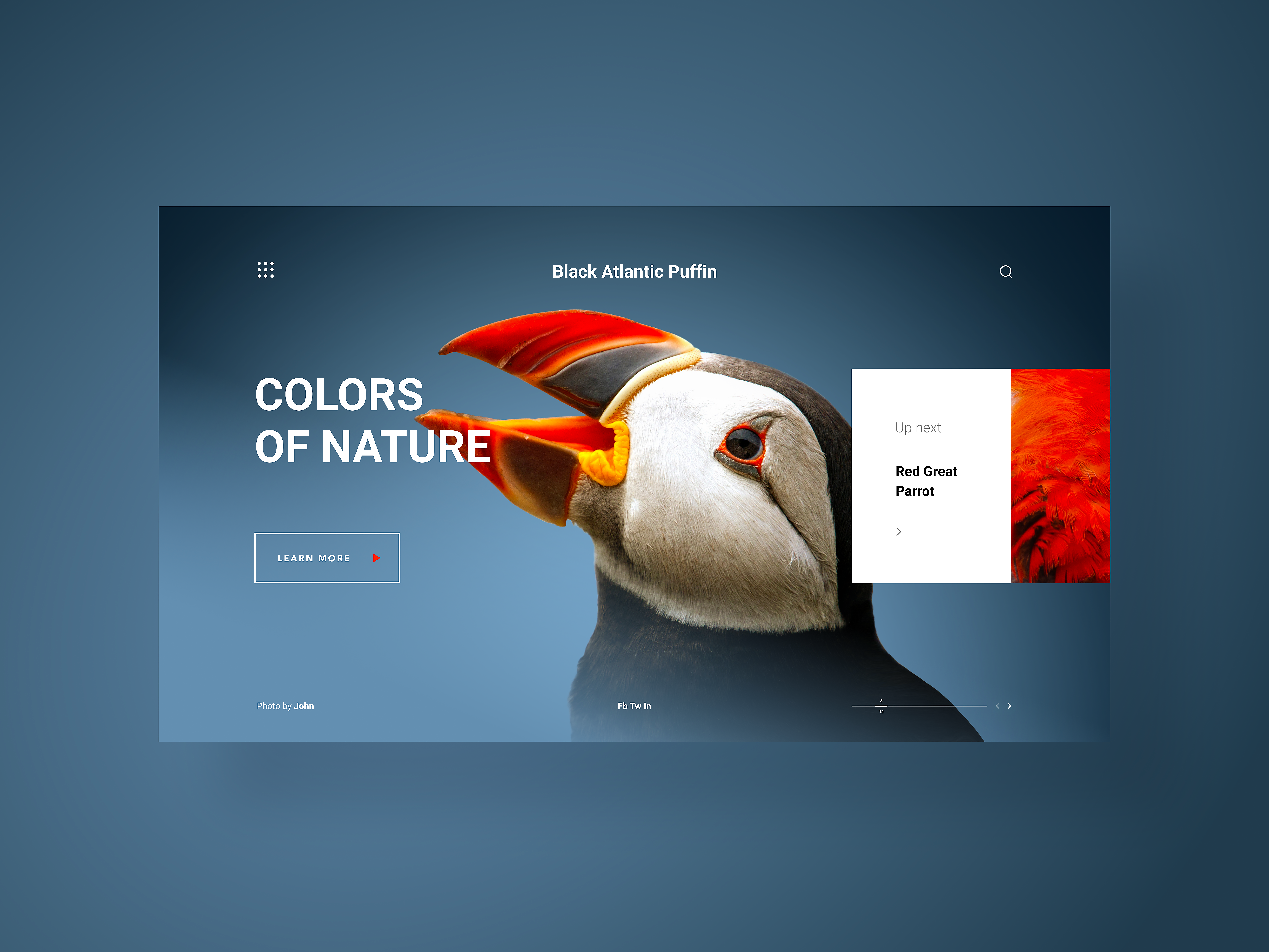 Example of Colors Of Nature, a web gallery - concept design