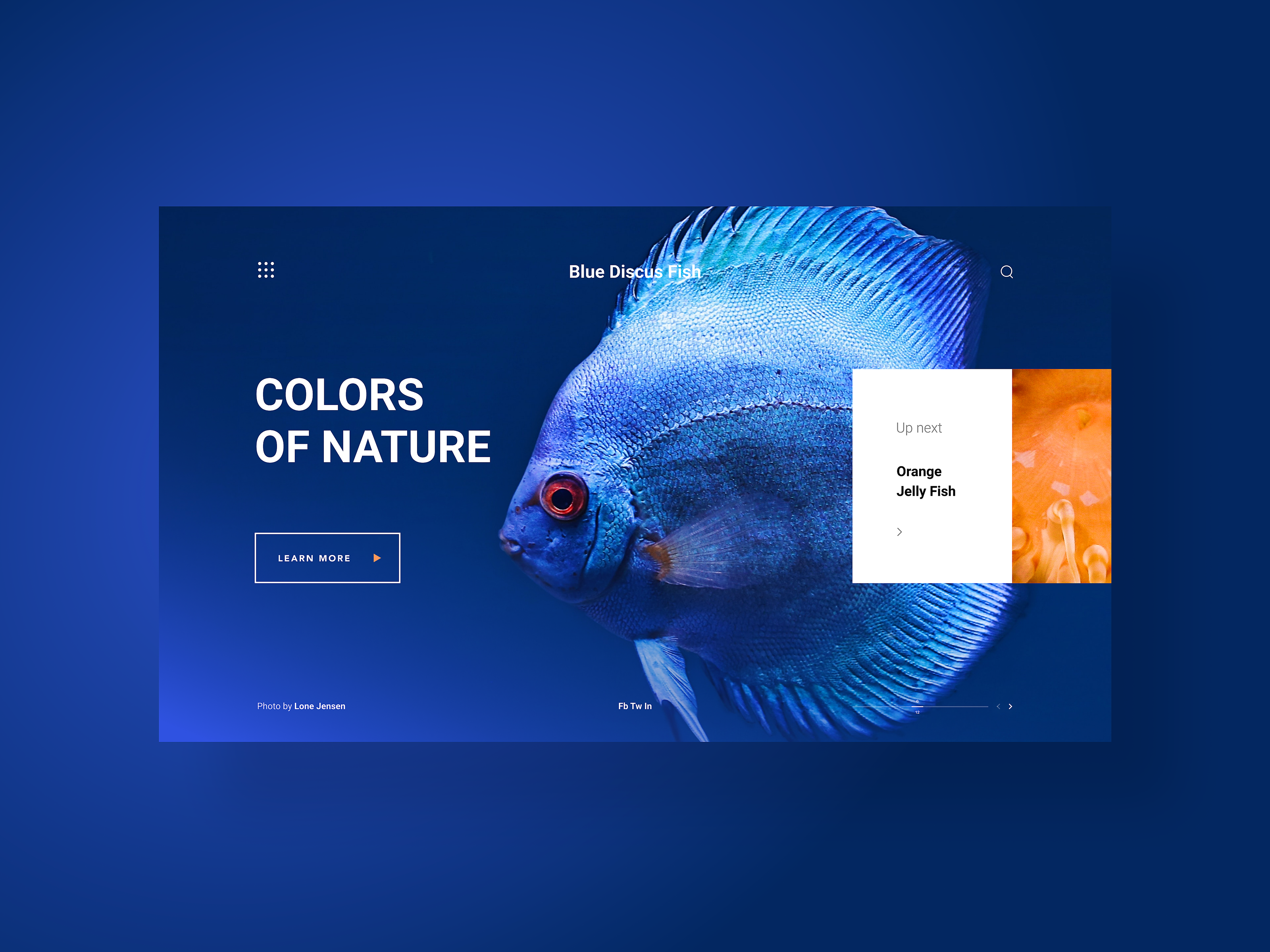 Example of Colors Of Nature, a web gallery - concept design