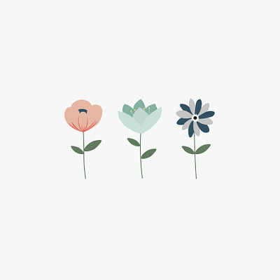 Flowers flowers illustration vector