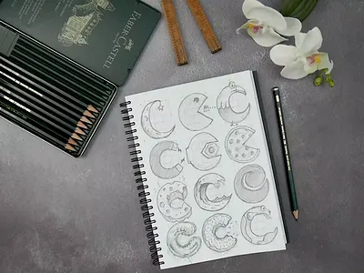 12 Types of C calligraphy hand lettering illustration lettering notebook type typography