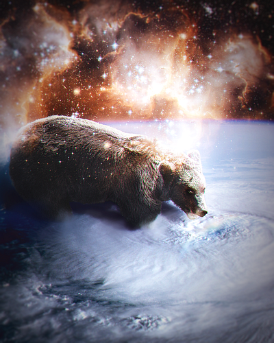 Spacial Bear adobe photoshop design digital art digital art graphic design photocomposition photomanipulation photoshop surreal art visual arts