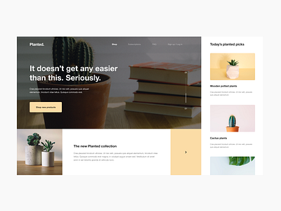 Planted Site Design Pt. 2 bright composition design digital fun icon layout muted plants typography ui ux web website website design yellow