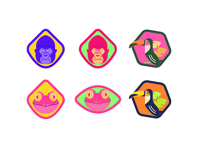 Animals Avatar 2d animal logo animals animation app design bird character color colorful flat flatstyle gif icon icon set illustration illustrator kong motion