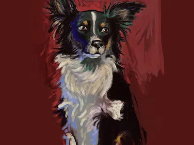 My pretty girl Zuu ausie digital painting dog illustration shepherd tykoe
