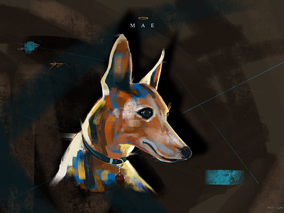 Mae color digi painting dog illustration procreate whippet