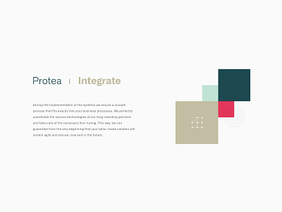 Feature Illustration - Protea Networks branding digital branding geometrical illustration simple typography