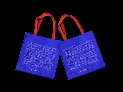 Equinox Festival Branding branding festival flat identity design logo typography