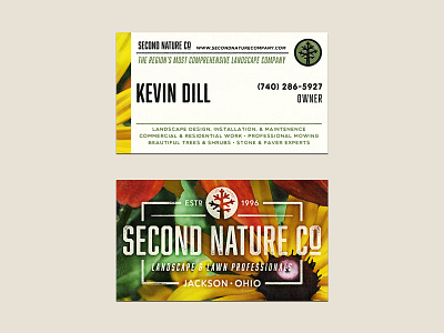 Second Nature Comps branding design illustration logo nature texture tree typography