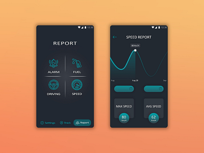 Tracking App - Report Pages app interface mobile mobile design ui user interface