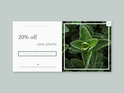 Daily UI 036 - Special Offer daily ui dailyui dailyui 036 dailyui036 plant pop up special offer ui ux web design webdesign