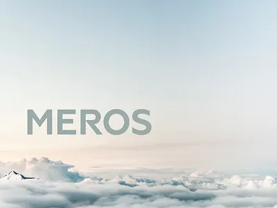 Meros design graphicdesign ui ux web design webdesign website design