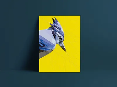 bluejay print character design graphicdesign illustration vector