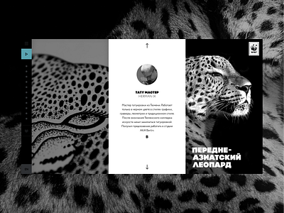 Wild Tattoo website black and white layout minimalistic typography web web design web ui website website design