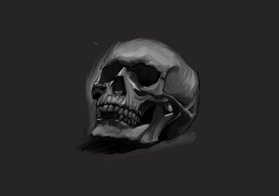 Memento Mori art branding design digital digital painting illustration ipad pro painting philosophy procreate skull skull logo skulls