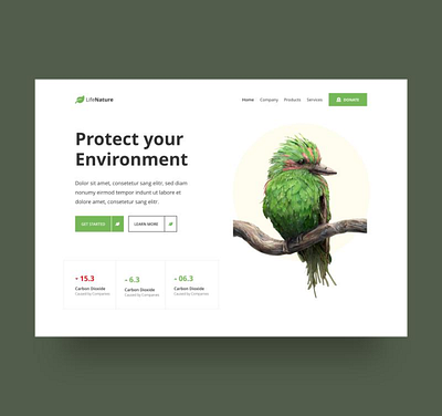 Web landing page