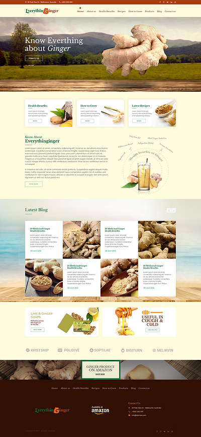 Everything Ginger - Logo Design Deck custom website design responsive website designs website design company website design services website designers