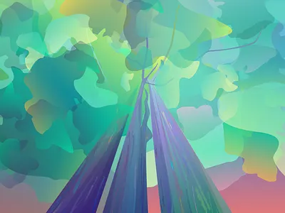 Eucalyptus simple illustration art illustration illustrator tree vector