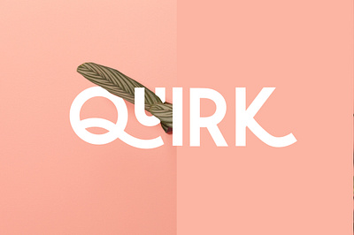 Quirk - Fun Display Font branding design display font display typeface font font design fonts fun fonts graphic design graphic design lettering logo design logo font logo fonts quirky font retro font typeface typefaces typography vintage font